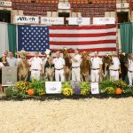 Brown Swiss named supreme in Harrisburg all-american supreme