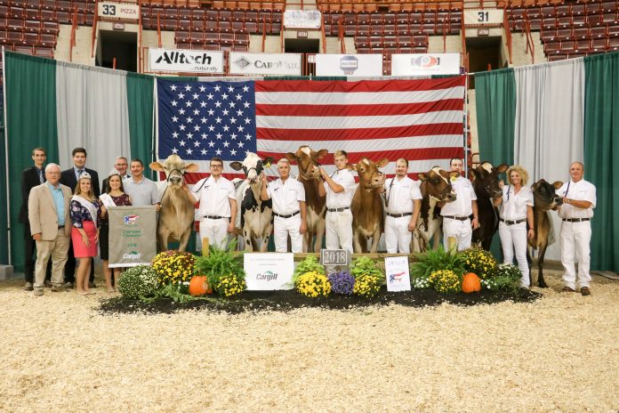 all-american supreme all-american supreme