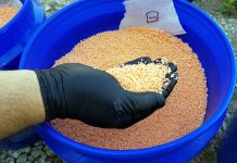 Coating fertilizer helps improve its efficacy soil chemistry