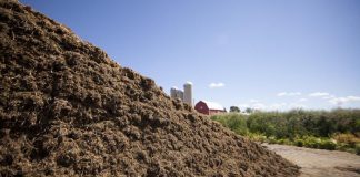 Reduce your corn silage milk production slump silage pile