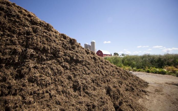silage pile silage pile
