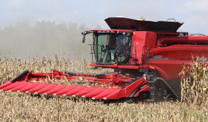 corn harvest combining corn