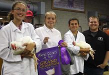Wayne County Fair 2018 champion broilers
