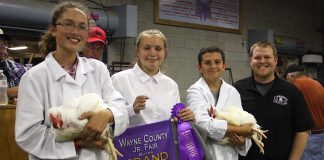 champion broilers