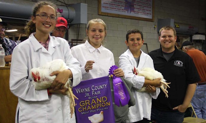 champion broilers