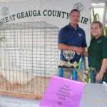 Geauga_grand_ducks