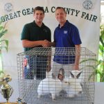 Geauga grand champion meet rabbits