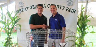 Geauga grand champion meet rabbits