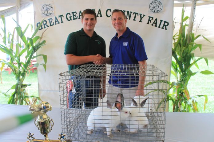 Geauga grand champion meet rabbits Geauga grand champion meet rabbits