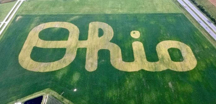 Script Ohio in soybeans CFAES Script Ohio in soybeans