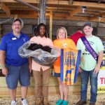 Stark County Champion Wool