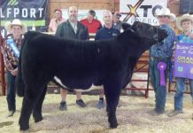 2018 Belmont County Fair sale results