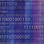 Pig farming to change in the future with blockchain blockchain