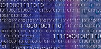 Pig farming to change in the future with blockchain blockchain