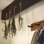 How to dry and store herbs for best flavor drying herbs