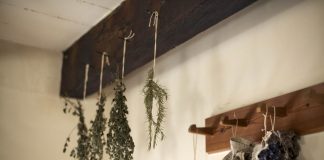How to dry and store herbs for best flavor drying herbs