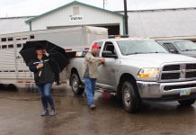 Wayne County Fair makes changes amid heavy rains evacuating livestock