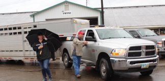 evacuating livestock