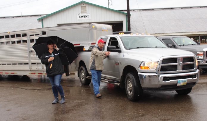 loading evacuating livestock