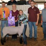 2018 Lorain County Fair sale results Lorain grand champion lamb