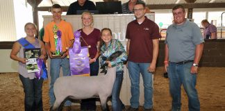2018 Lorain County Fair sale results Lorain grand champion lamb