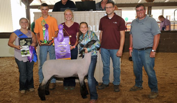 Lorain grand champion lamb Lorain grand champion lamb