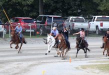 Mule racing returns to Canfield Fair