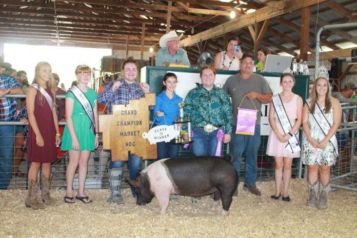 noble_1_Kirstyn_Pickenpaugh