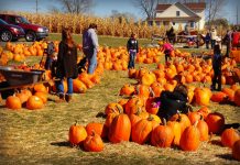 10 ways to advertise your agritourism event (for free!) fall agritourism banner