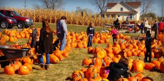 fall agritourism banner
