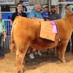 2018 Tuscarawas County Fair sales total $785,953