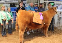 2018 Tuscarawas County Fair sales total $785,953