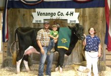 2018 Venango Fair sale results