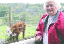 Retired educator runs cattle farm in brother’s memory Suzan Smith
