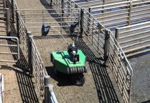 Cargill develops robotic cattle driver Cargill cattle robot
