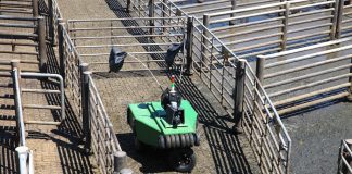 Cargill develops robotic cattle driver Cargill cattle robot