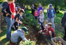 School and nonprofit create farm partnership