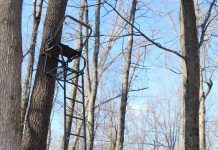 Can’t stress tree stand safety enough tree stand