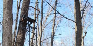 Can’t stress tree stand safety enough tree stand