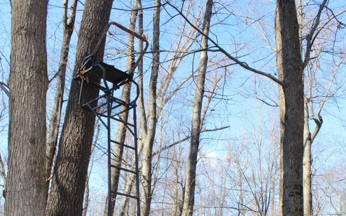 tree stand tree stand