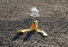 Ohio State students dig through trash to measure food waste banana peel