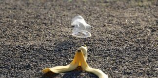 Ohio State students dig through trash to measure food waste banana peel