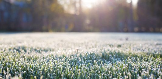 Start the grazing year right: Tips for healthier pastures and better performance frost