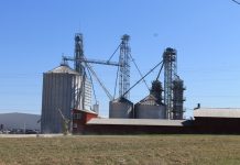 6 steps for protecting stored grain quality grain bins
