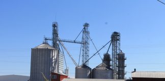 Ohio Department of Agriculture suspends operations at Vista Grain grain bins