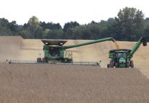 Better weather means harvest is rolling Fall harvest, 2018