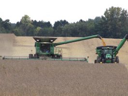 Market volatile on conflicting news items Fall harvest, 2018