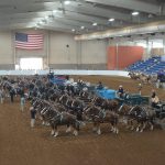 Armstrong County’s Brockhoff takes home KILE hitch honors KILE draft hitch