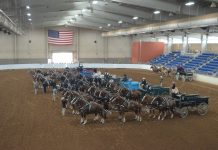 Armstrong County’s Brockhoff takes home KILE hitch honors KILE draft hitch