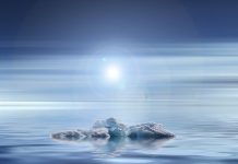 Time to heed climate change threat iceberg